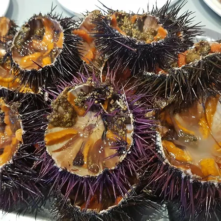 1234 Mirasol Con Piscina - Apivend Immo 로지즈